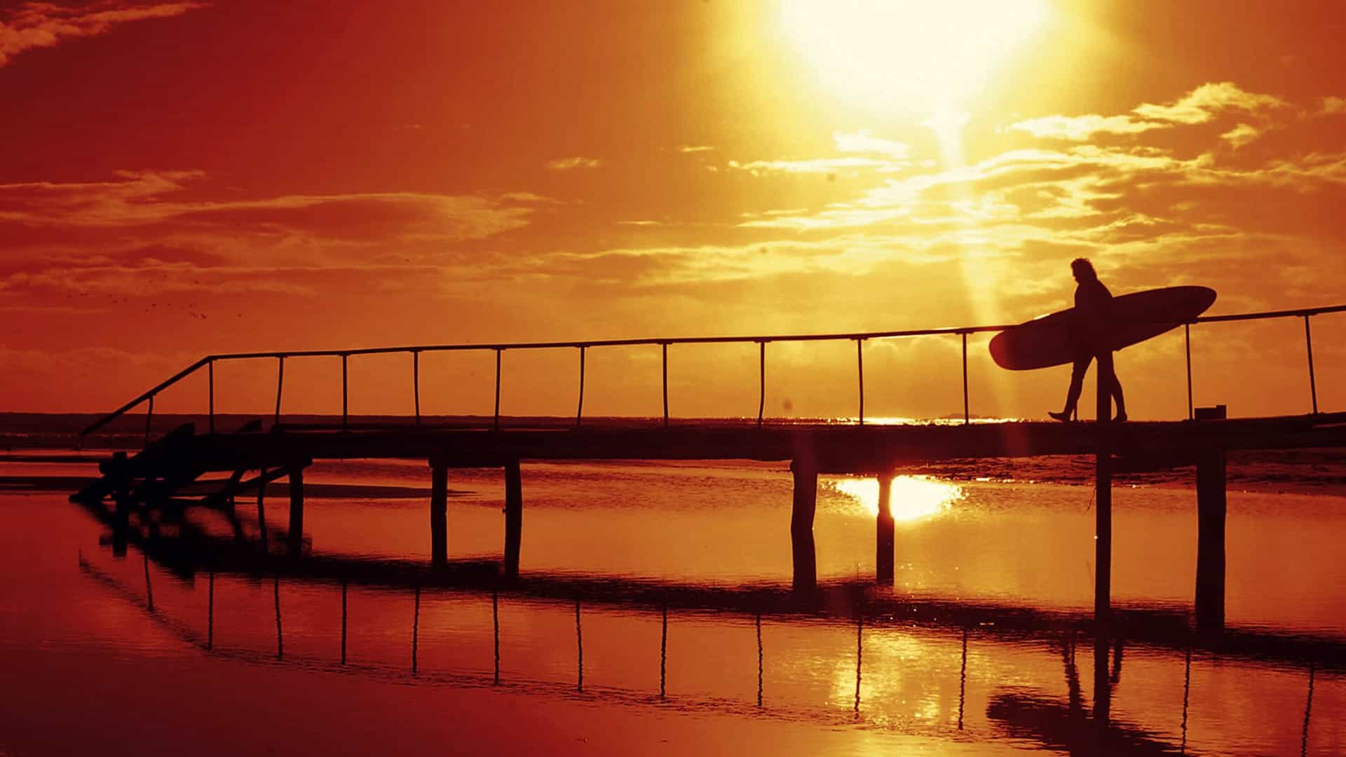 arrawarra spot x surf camp