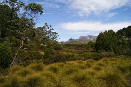 hiking tracks in tasmania - cradle mountain
