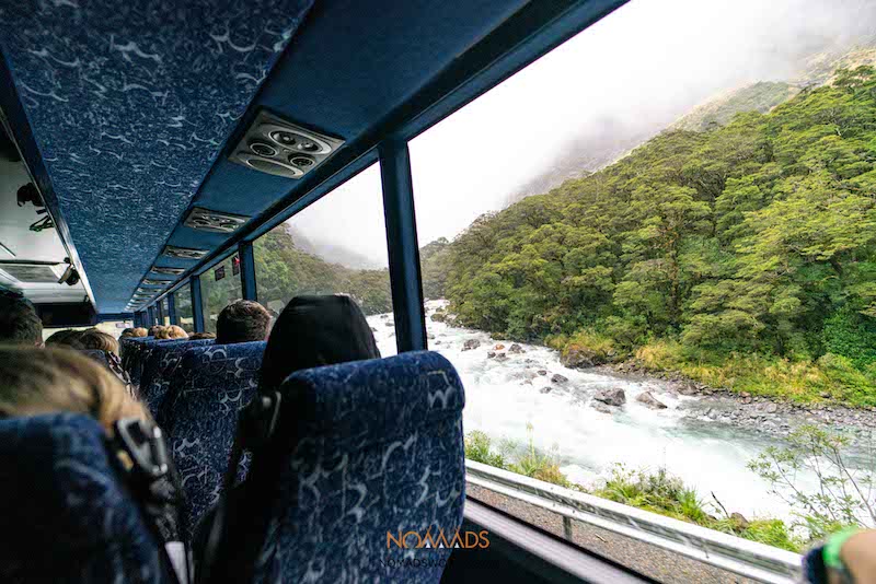kiwi experience bus to milford